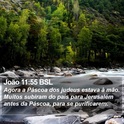 João 11:55 BSL Bible Verse Image