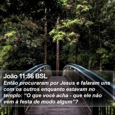 João 11:56 BSL Bible Verse Image