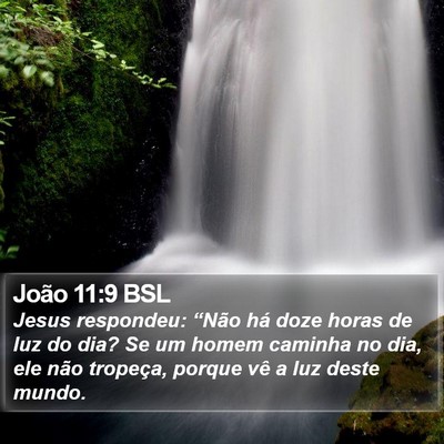 João 11:9 BSL Bible Verse Image