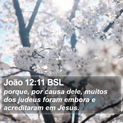 João 12:11 BSL Bible Verse Image
