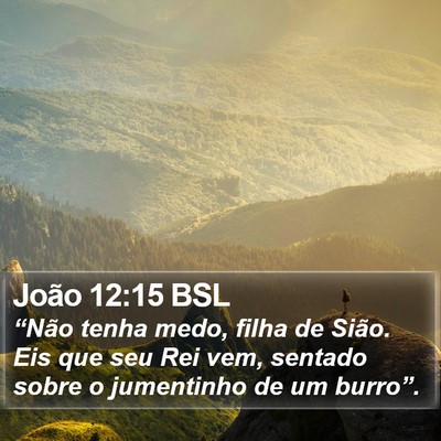João 12:15 BSL Bible Verse Image