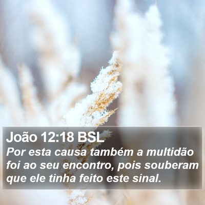João 12:18 BSL Bible Verse Image
