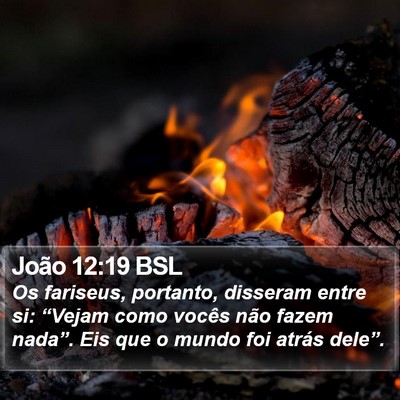 João 12:19 BSL Bible Verse Image