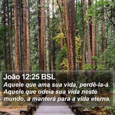 João 12:25 BSL Bible Verse Image