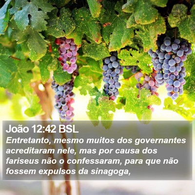 João 12:42 BSL Bible Verse Image