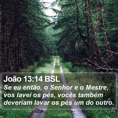João 13:14 BSL Bible Verse Image