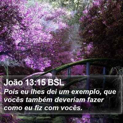 João 13:15 BSL Bible Verse Image