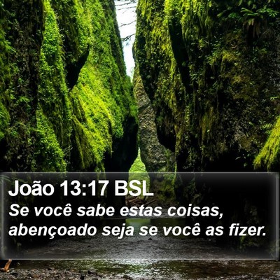 João 13:17 BSL Bible Verse Image