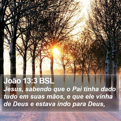 João 13:3 BSL Bible Verse Image