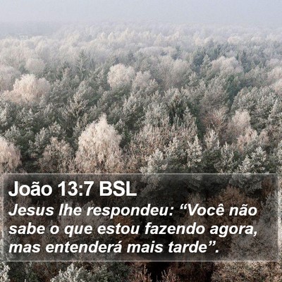 João 13:7 BSL Bible Verse Image