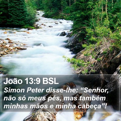 João 13:9 BSL Bible Verse Image