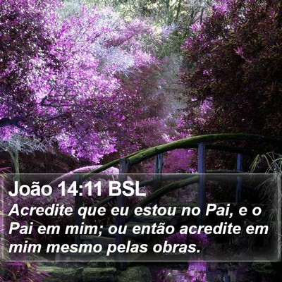 João 14:11 BSL Bible Verse Image