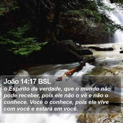 João 14:17 BSL Bible Verse Image