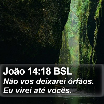 João 14:18 BSL Bible Verse Image