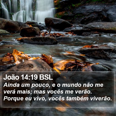 João 14:19 BSL Bible Verse Image