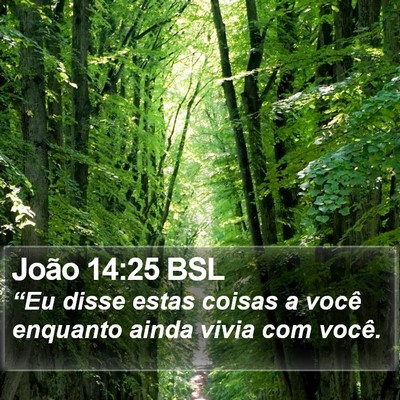 João 14:25 BSL Bible Verse Image