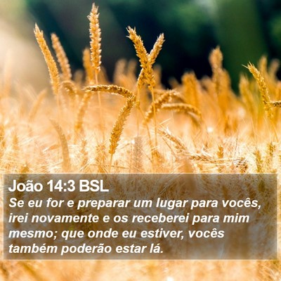 João 14:3 BSL Bible Verse Image