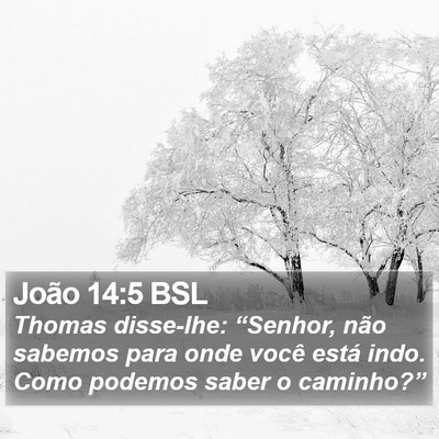João 14:5 BSL Bible Verse Image
