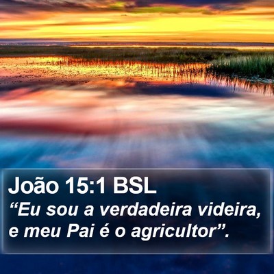 João 15:1 BSL Bible Verse Image