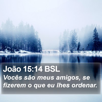 João 15:14 BSL Bible Verse Image