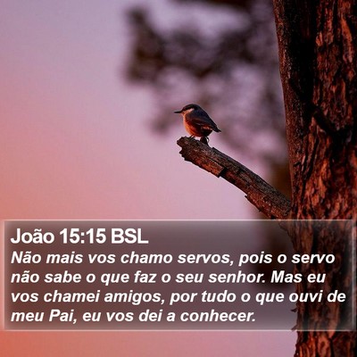 João 15:15 BSL Bible Verse Image