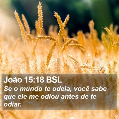 João 15:18 BSL Bible Verse Image