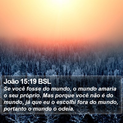 João 15:19 BSL Bible Verse Image