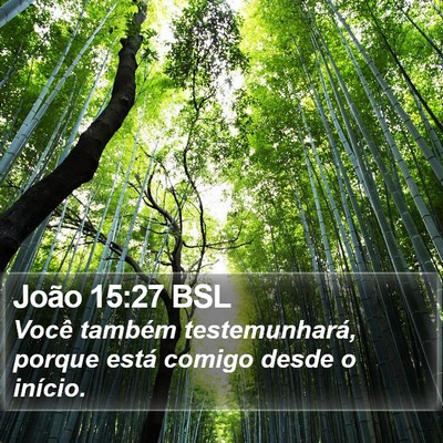 João 15:27 BSL Bible Verse Image