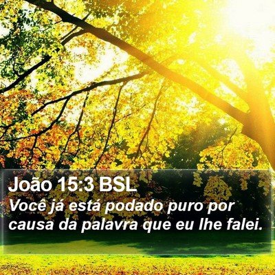 João 15:3 BSL Bible Verse Image