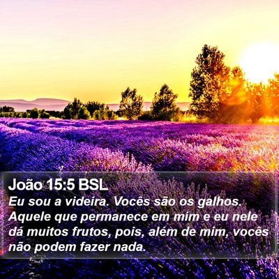 João 15:5 BSL Bible Verse Image