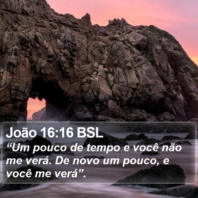 João 16:16 BSL Bible Verse Image