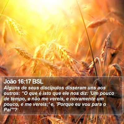 João 16:17 BSL Bible Verse Image