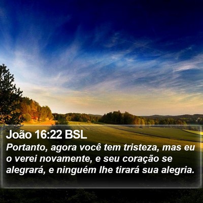 João 16:22 BSL Bible Verse Image