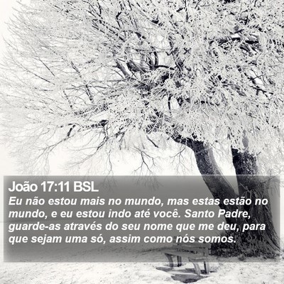 João 17:11 BSL Bible Verse Image