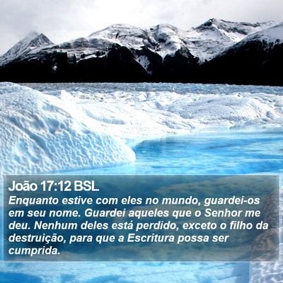 João 17:12 BSL Bible Verse Image