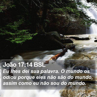 João 17:14 BSL Bible Verse Image