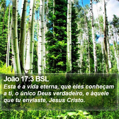 João 17:3 BSL Bible Verse Image