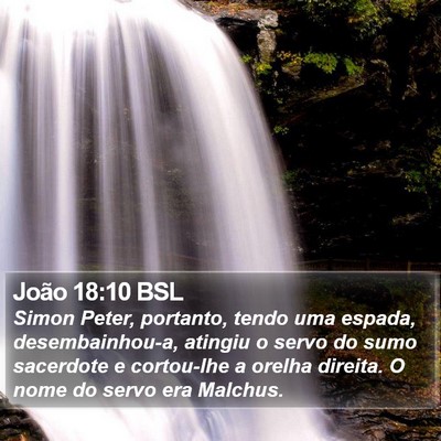 João 18:10 BSL Bible Verse Image