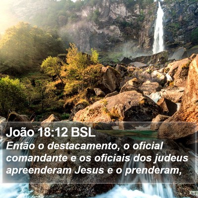 João 18:12 BSL Bible Verse Image