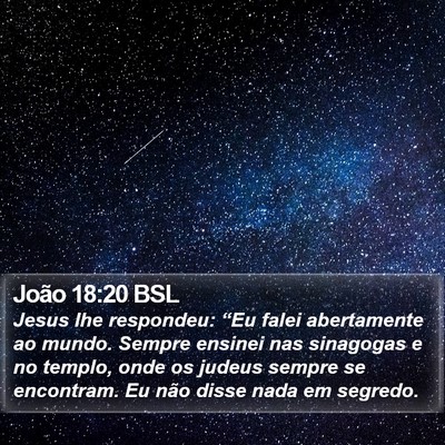 João 18:20 BSL Bible Verse Image