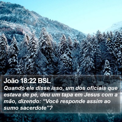 João 18:22 BSL Bible Verse Image