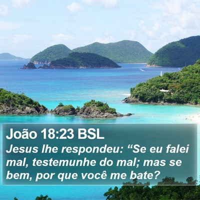 João 18:23 BSL Bible Verse Image