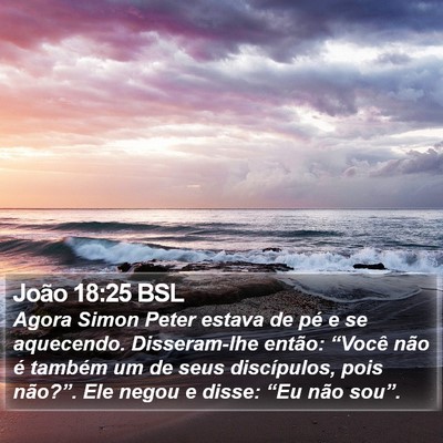 João 18:25 BSL Bible Verse Image