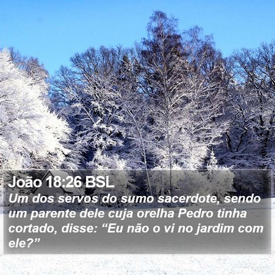 João 18:26 BSL Bible Verse Image