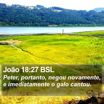João 18:27 BSL Bible Verse Image