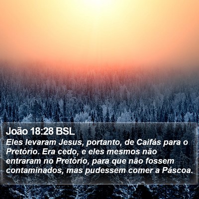 João 18:28 BSL Bible Verse Image
