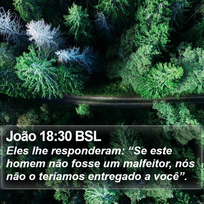 João 18:30 BSL Bible Verse Image