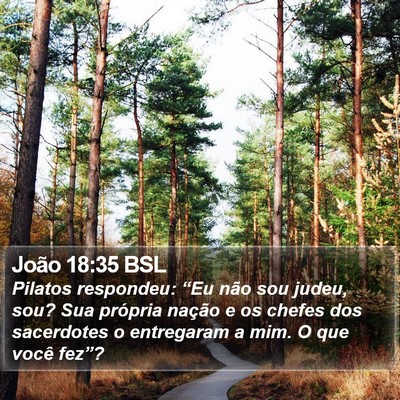João 18:35 BSL Bible Verse Image