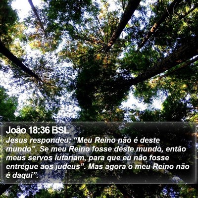 João 18:36 BSL Bible Verse Image