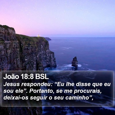 João 18:8 BSL Bible Verse Image